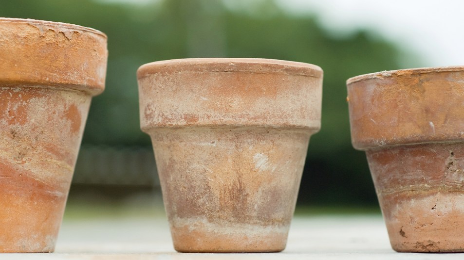 Why White Residue Shows Up on Terracotta Pots